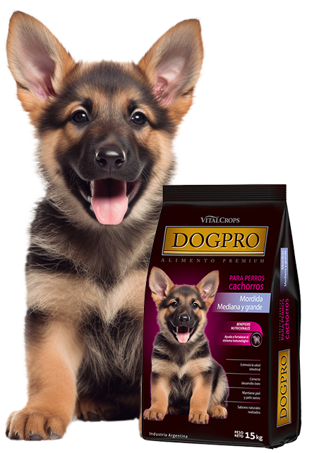 Dog Pro alimento balanceado para perros – Fórmula premium para energía, pelaje brillante y músculos fuertes. Ideal para perros cachorros. Comprá Dog Pro al mejor precio y recibí en tu casa. Garantía de frescura.